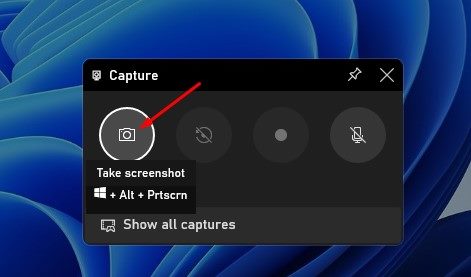 click on the camera icon