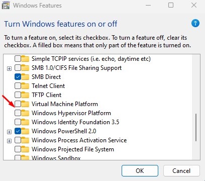 Windows Hypervisor Platform