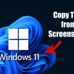 Come copiare testo dagli screenshot in Windows 11🖥️✂️ Come copiare testo da schermate su Windows 11