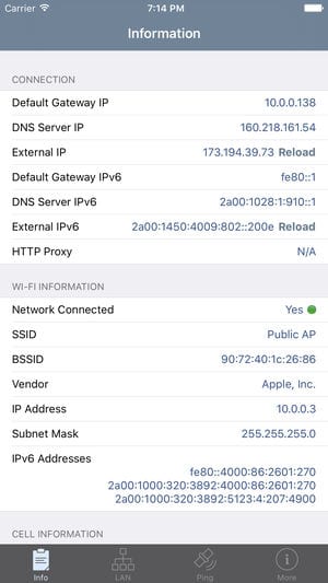 App Network Analyzer mostrando servidor DNS en iPhone