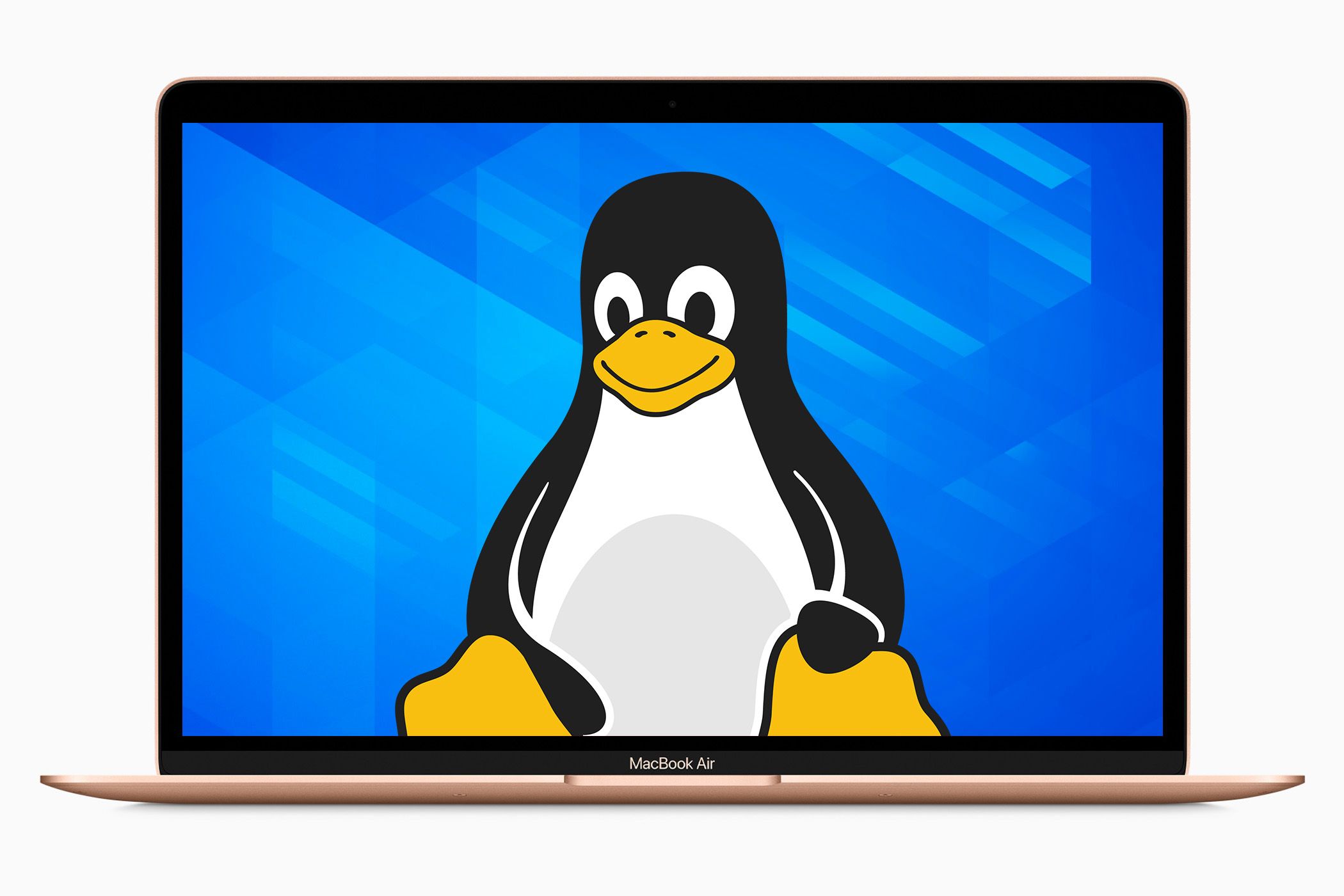 Servidor Headless: +Rendimiento en 3 pasos, sin monitor 🚀 14 MacBook Air con la mascota Tux de Linux en pantalla