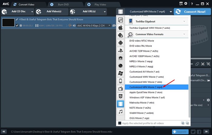 Selección de formato MP4 en Any Video Converter para Windows 11