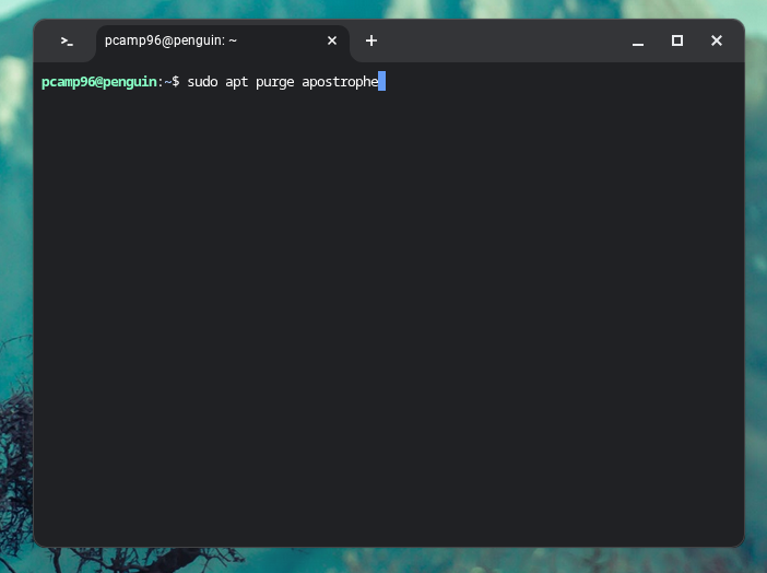 Удаление Linux: секрет удаления скрытых приложений 😱 9 Процесс удаления приложения с помощью apt в Linux на Chromebook.