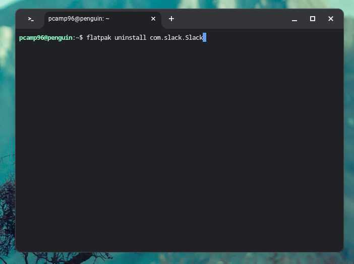 Удаление Linux: хитрость удаления скрытых приложений 😱 10 Процесс удаления приложения с помощью Flatpak в Linux на Chromebook.