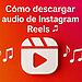 Cara mengunduh audio dari Instagram Reels