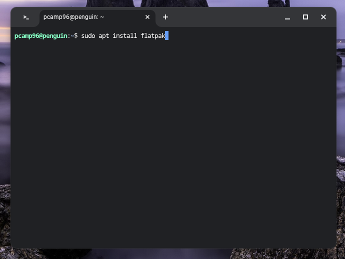 Удаление Linux: секрет удаления скрытых приложений 😱 8 Процесс установки Flatpak с помощью apt в Linux на Chromebook.