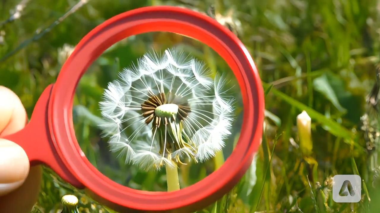 GIMP Stable Boy: evita Adobe e crea magia gratuitamente 💥🚀 14 Esempio di riempimento generato dall'intelligenza artificiale in Photoshop