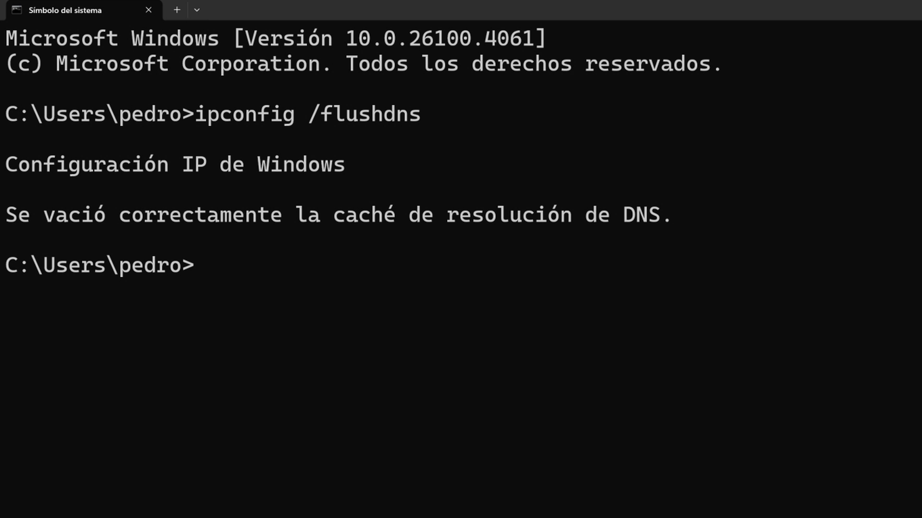 Instrucciones para eliminar caché DNS en Windows desde el símbolo del sistema