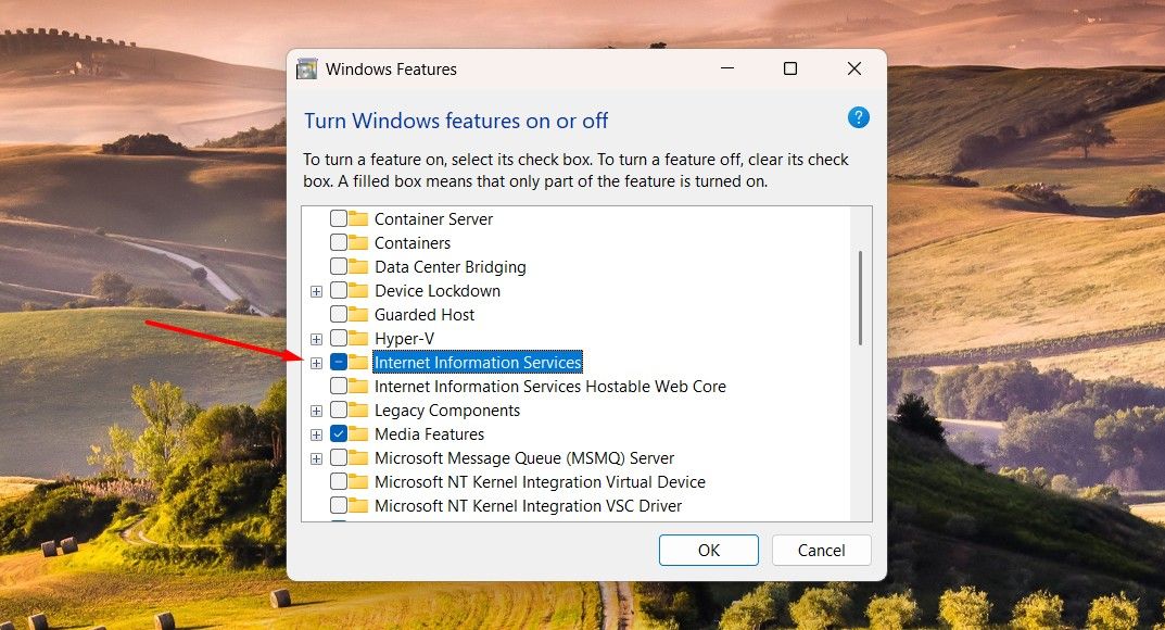 Das Kontrollkästchen „Internetinformationsdienste“ ist in den Windows-Features aktiviert.