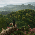 Assassin's Creed Shadows and its secrets: 3 reasons to play it today 💥 Assassin's Creed Shadows and Its Secrets: Discover the 5 That Are Amazing! 🎮