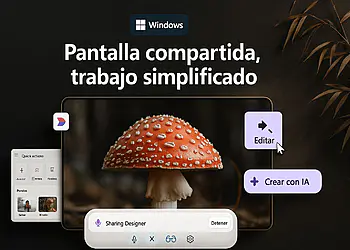 Visão do Copiloto