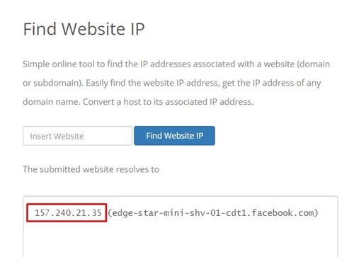 IPVOID'da bir site için IP adresi sorgusunun sonucu