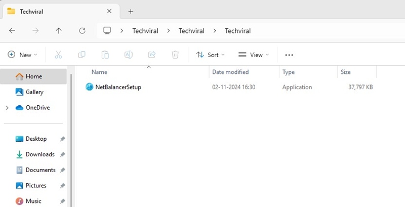 نافذة تثبيت NetBalancer في نظام التشغيل Windows 11