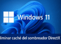 Cache Shader DirectX: 3 semplici modi per cancellarla subito