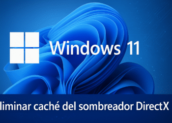 DirectX Shader Cache 3 formas fáciles para borrarlo ya