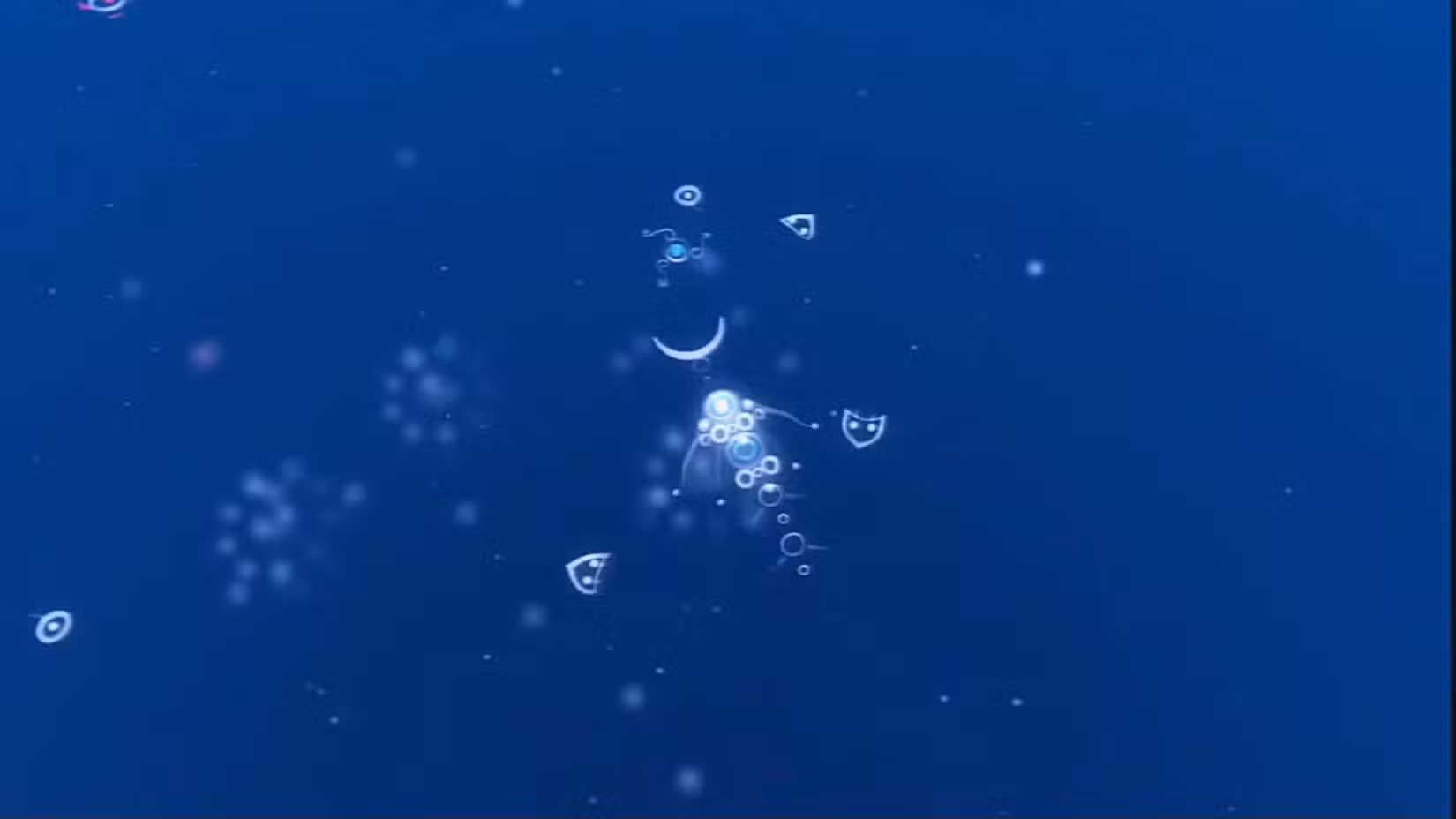 Flow was much more than a simple copy of Spore