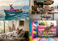 Gobernanza Nano Banana 2 - whimsical kangaroo scenes featuring a kangaroo in a boat at sea, sitting at a café, relaxing in a bedroom, and jumping in a colorful inflatable castle, creative surreal animal photography collage.